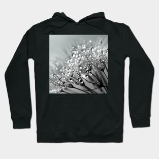 Water Droplets on Leaves Hoodie